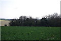 Lullington Church in amongst the trees