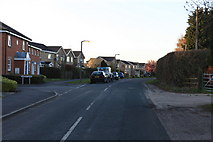 SE5946 : Acaster Lane, looking towards Bishopthorpe by Michael Jagger