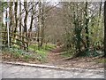 Bridleway in a hollow way