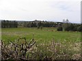 Coalhill Townland