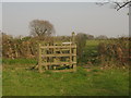 Sussex Border Path crosses a track to Delmonden Farm