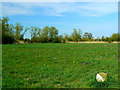 Another hay lot marker and the North Meadow National Nature Reserve, Cricklade