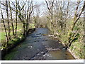 The view upstream from Kismeldon Bridge