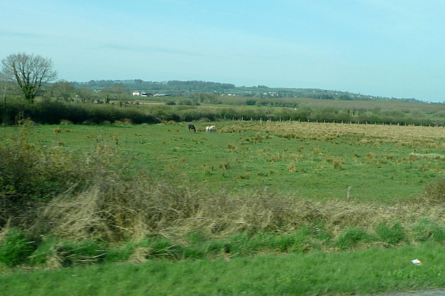 Farmland at Mountcatherine