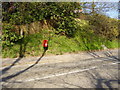 Postbox on the Awliscombe Road