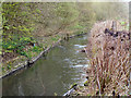 River Irk, Alkrington Woods Nature Reserve