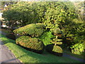 Alexandra Park Topiary