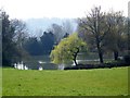 Lake, Dinton Park