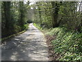 Approach to Stonehouse Cottage