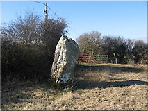 O0089 : Standing stone at Barnaveddoge, Co. Louth by Kieran Campbell