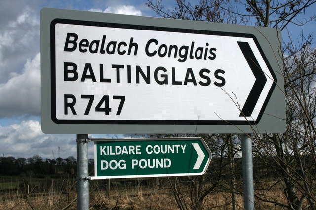 In County Kildare