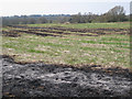 Burnt grassland below Hilltop Close