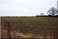 Arable field near Watford Gap