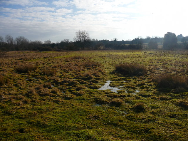 Penton Mewsey - Boggy Area © Chris Talbot cc-by-sa/2.0 :: Geograph ...