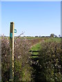 TM3668 : Footpath to Strickland Manor Hill & Green Road by Geographer