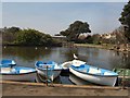 Boats in Egerton Park