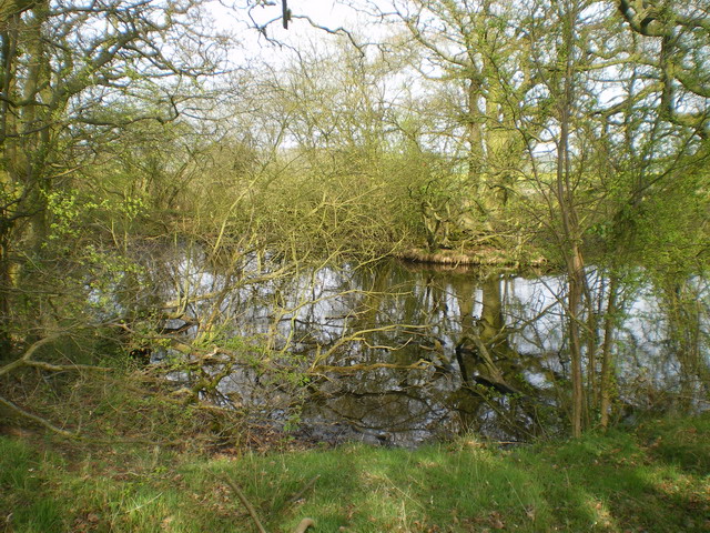 Small pool next to The Monarch's Way