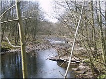 SD6650 : River Dunsop by Michael Graham