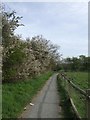 Footpath around the battlefield - Battle of Shrewsbury - 1403