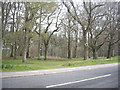 Bench by path through Meadow Plantation