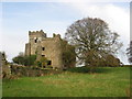 N7557 : Tremblestown Castle, Co. Meath by Kieran Campbell