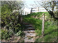 Footpath steps, Michaelston-le-Pit