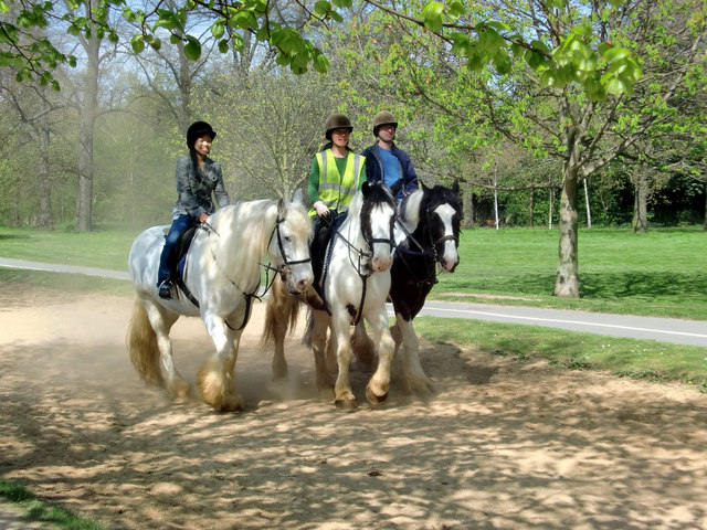Horseriding in Hyde Park, London