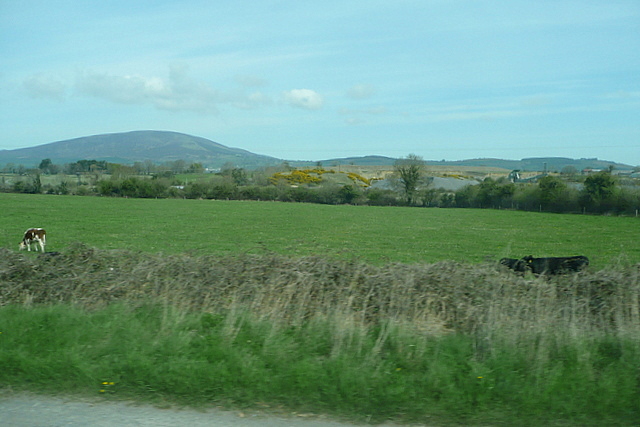 Farmland at Ballydine