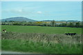 S3323 : Farmland at Ballydine by Graham Horn