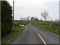 J4395 : Hillhead Road by Kenneth  Allen