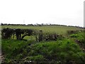 Burnside Townland