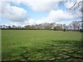 Farmland off the ringway footpath