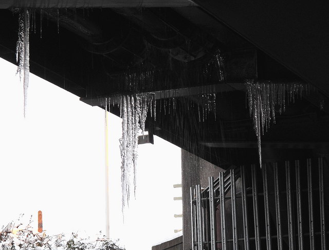 Icicles under M-way Bridge, Tinsley