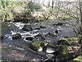 The Ballinderry river at Wellbrook Beetling Mill,Cookstown