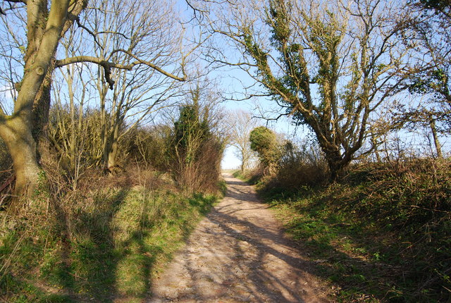 The South Downs Way east of Jevington (2)