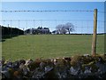 Sheep pastures at Ymwlch Ganol farm