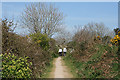 Fowey: footpath near Coombe