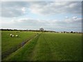 Bridleway to Low Catton