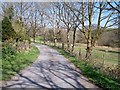 Lane past Ystrad Fawr