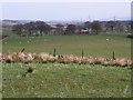 Grazing country, High Balmalloch