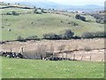 Footpath stile above the wetland of the valley floor