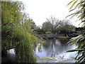 TL1149 : Lake within Frosts Garden Centre, Sandy Lane, Willington by PAUL FARMER