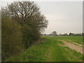 Footpath towards Pean Hill