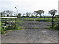 Gateway off Back Lane, Kingston Seymour