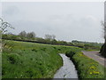 Roadside rhyne near Kingston Seymour