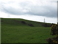 Grazing lands at Cowden Knowe