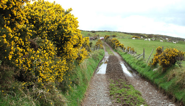 The Windy Gap Pad near Dromara (9) © Albert Bridge cc-by-sa/2.0 ...