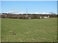 Grassland, Bowhousebrae Road