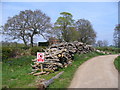 Timber Stack, Songhurst Farm