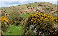 The Windy Gap Pad near Dromara (18)